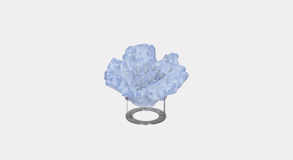 钱柜qg777(中国区)唯一官方网站