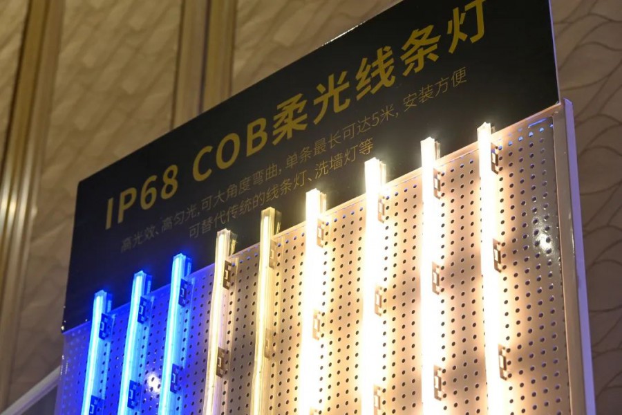 勇电出席中国都会照明行业立异与高质量生长岑岭论坛并揭晓主要演讲-杭州勇电照明有限公司